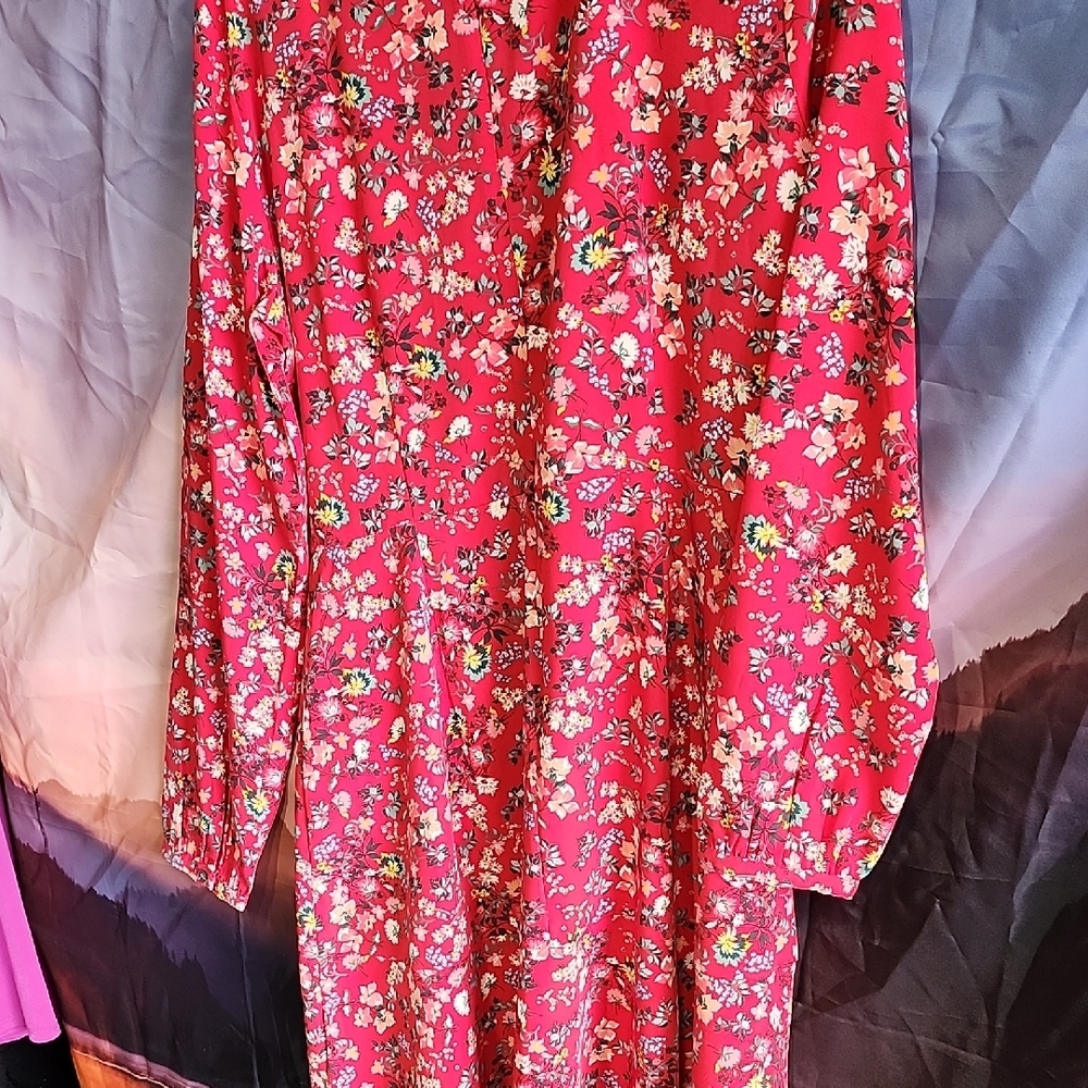 LOFT Floral Red Ruffled Dress - Picture 3 of 6